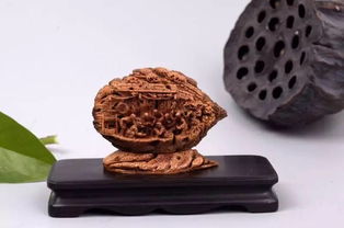 山東工藝美術(shù)學(xué)院研培學(xué)員創(chuàng)新產(chǎn)品設(shè)計(jì)大獎(jiǎng)賽喜獲佳績，彰顯收藏品鑒定評(píng)估服務(wù)價(jià)值