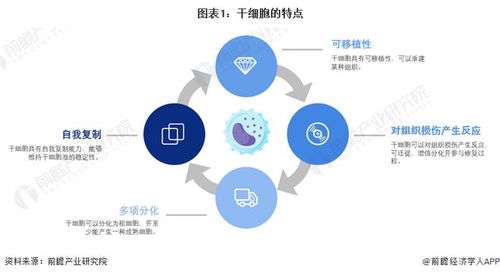 干細(xì)胞技術(shù)最新預(yù)測(cè) 裴鋼院士強(qiáng)調(diào)前沿生物醫(yī)藥產(chǎn)品開(kāi)發(fā)需確保三大核心要素